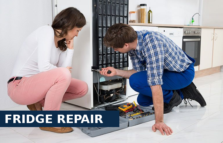 Fridge Repair Yeading
